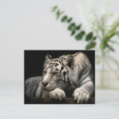 Witte tijger briefkaart (Staand voorkant)