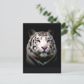 Witte Tijger Briefkaart (Staand voorkant)
