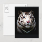 Witte Tijger Briefkaart (Voorkant / Achterkant)