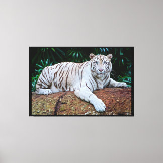 Witte tijger canvas afdruk