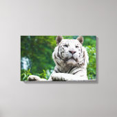 Witte Tijger canvas print (Voorkant)
