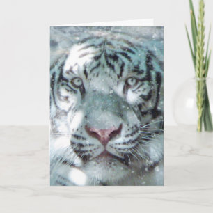 Witte Tijger in de Winter Feestdagen Kaart