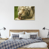 Witte tijger in een persoonlijk verzorgingsritueel canvas afdruk (Insitu (Slaapkamer))