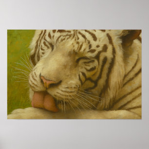 Witte tijger in een persoonlijk verzorgingsritueel poster
