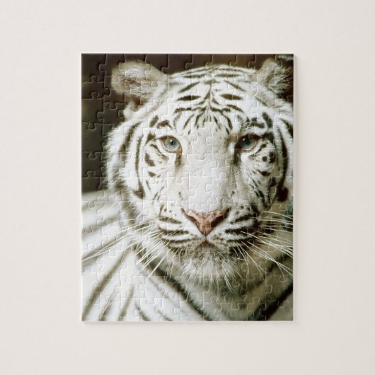 Witte tijger legpuzzel (Verticaal)