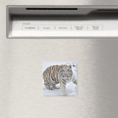 Witte tijger magneet (Insitu (Vaatwasser))