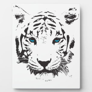 Witte tijger met blauwe ogen fotoplaat