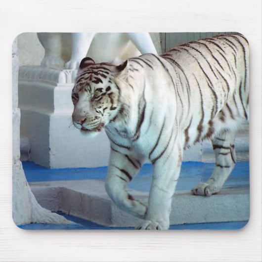 Witte tijger muismat (Voorkant)