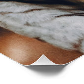 Witte tijger perfect poster (Hoek)