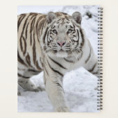 Witte tijger planner (Achterkant)