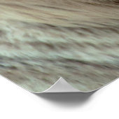 Witte tijger poster (Hoek)