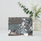 Witte tijger ruiterend onder bomen briefkaart (Staand voorkant)