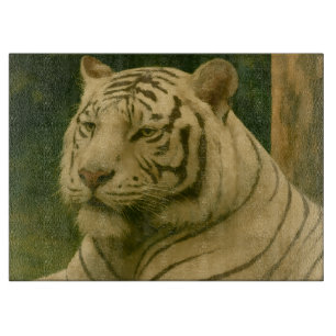Witte tijger rust in bosrijke schaduw snijplank