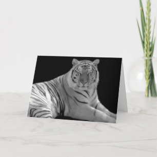 Witte tijger Verjaardag Wenskaart Kaart