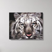 Witte tijger verpakt canvas (Voorkant)