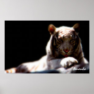 Witte Tijger Wildlife Kunst Poster