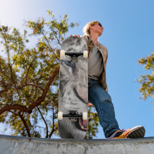 Witte Tijgerkop Wilde Schoonheid Skateboard