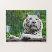 Witte tijgerpuzzel legpuzzel (Horizontaal)