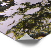 Witte tip rif haaienstapel poster (Hoek)