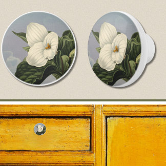 Witte Trillium Bloem in Temple of Flora Stijl Keramische Knop