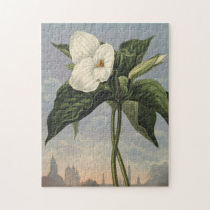 Witte Trillium Bloem in Temple of Flora Stijl Legpuzzel