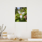 Witte Trillium Bosbloem Macro Poster (Keuken)