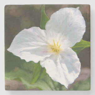 Witte trillium stenen onderzetter