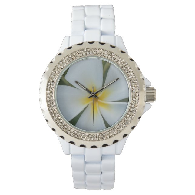 Witte tropische plummeringsbloem uit Fiji Horloge (Voorkant)