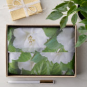 Witte tuinbloemen en groen tissuepapier (Geschenk)