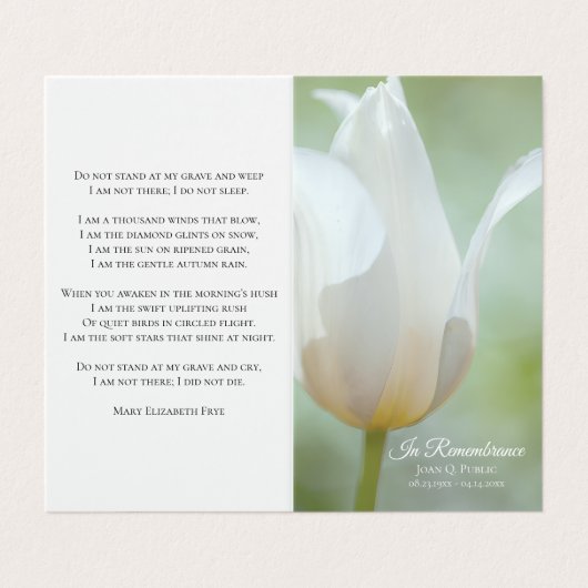 Witte Tulp Bloemen Voorjaar Begrafenis Gebed Visitekaartjes (Buitenkant ongevouwen)