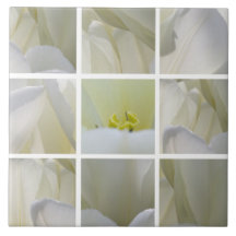 Witte Tulp Vierkant Mozaïek