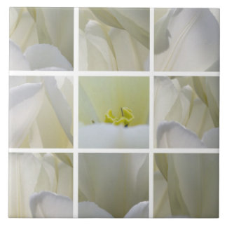 Witte Tulp Vierkant Mozaïek Tegeltje