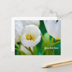 Witte Tulp Wenskaart Feestdagenkaart