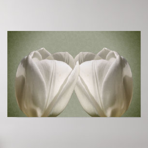 Witte Tulpbloemen Poster