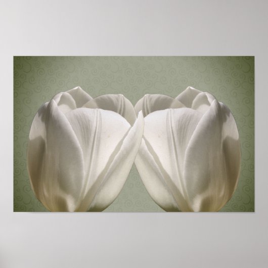 Witte Tulpbloemen Poster (Voorkant)