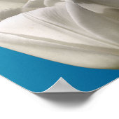 Witte Tulpbloemen Poster (Hoek)