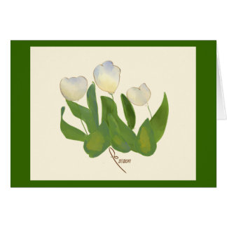 witte tulpen
