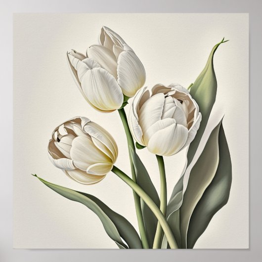 Witte Tulpen Bloemenkunst Print Poster (Voorkant)