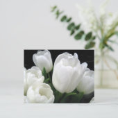 Witte tulpen briefkaart (Staand voorkant)