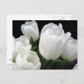 Witte tulpen briefkaart (Voorkant / Achterkant)