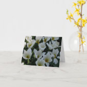 Witte Tulpen Kaart (Gele Bloem)