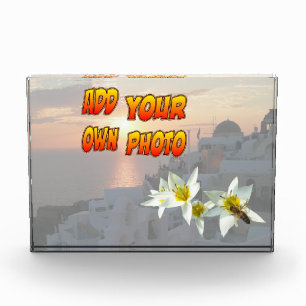 Witte tulpen met bijenfotoblok fotoblokken