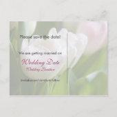 Witte Tulpen · Save the Date Briefkaart (Achterkant)