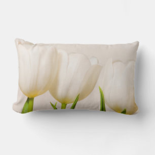 Witte tulpen tegen een witte achtergrond, kussen