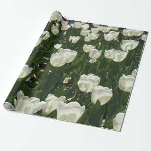 Witte Tulpen voor een delicate bloem. Cadeaupapier