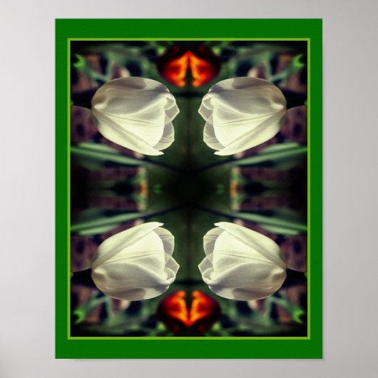 Witte tulpenbloem in zonlicht Abstract Poster (Voorkant)