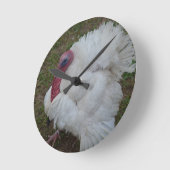 Witte Turkije Ronde Klok (Hoek)