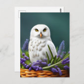 Witte Uil in Lavendel, Postcrossing Briefkaart (Voorkant / Achterkant)