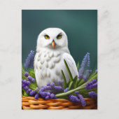 Witte Uil in Lavendel, Postcrossing Briefkaart (Voorkant)