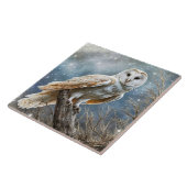 Witte Uil Mystiek Mooi Tegeltje (Zijkant)